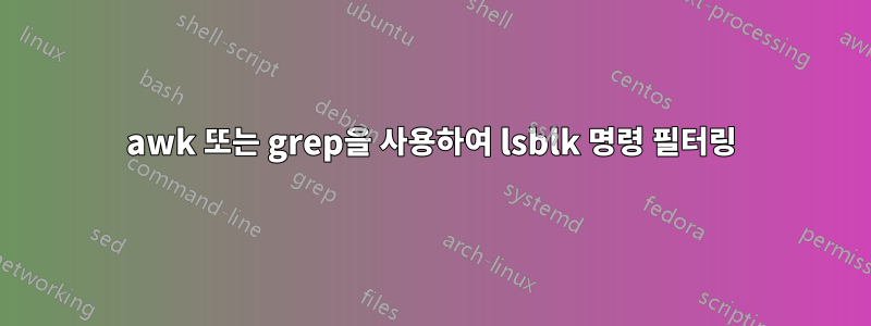 awk 또는 grep을 사용하여 lsblk 명령 필터링