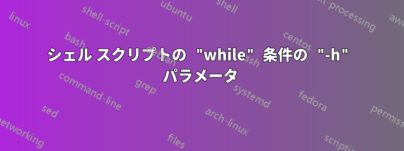 シェル スクリプトの "while" 条件の "-h" パラメータ