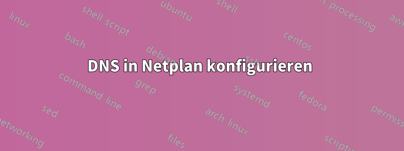 DNS in Netplan konfigurieren