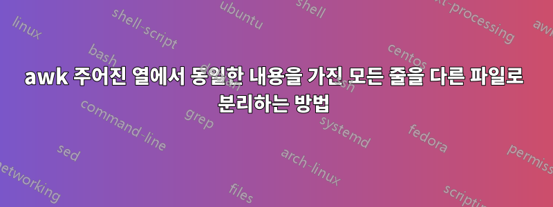 awk 주어진 열에서 동일한 내용을 가진 모든 줄을 다른 파일로 분리하는 방법
