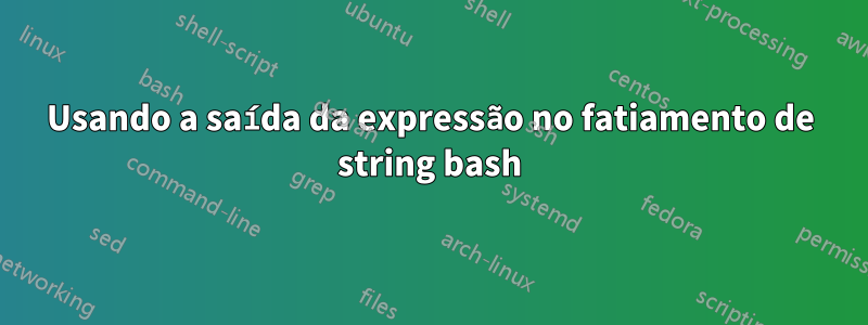 Usando a saída da expressão no fatiamento de string bash