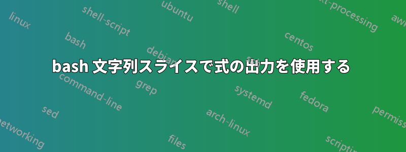 bash 文字列スライスで式の出力を使用する