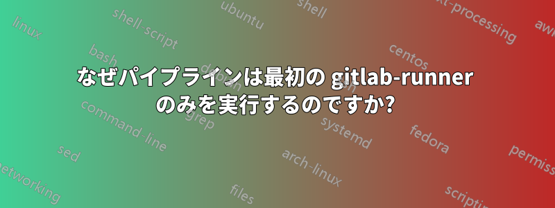 なぜパイプラインは最初の gitlab-runner のみを実行するのですか?