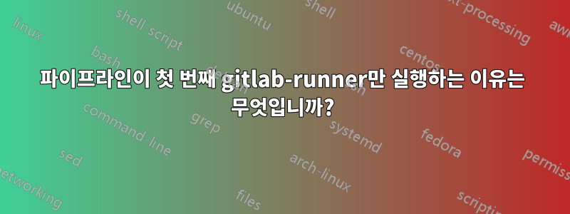 파이프라인이 첫 번째 gitlab-runner만 실행하는 이유는 무엇입니까?