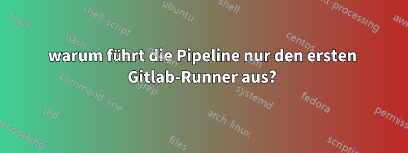 warum führt die Pipeline nur den ersten Gitlab-Runner aus?