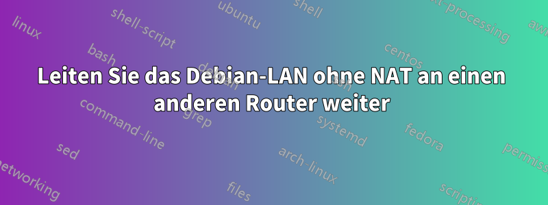 Leiten Sie das Debian-LAN ohne NAT an einen anderen Router weiter