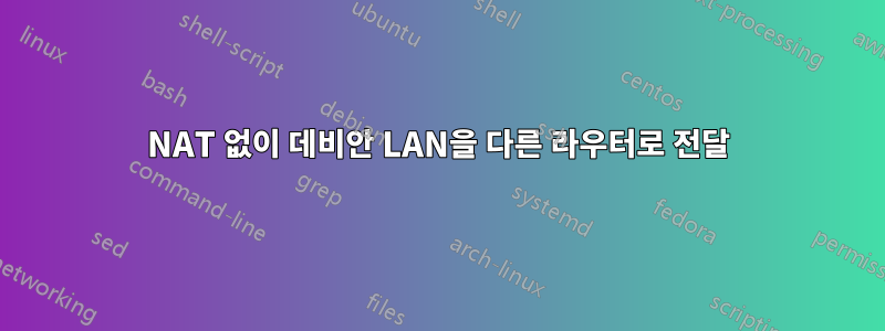 NAT 없이 데비안 LAN을 다른 라우터로 전달
