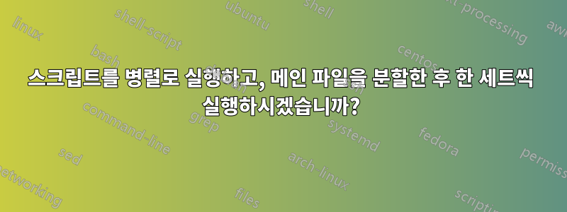 스크립트를 병렬로 실행하고, 메인 파일을 분할한 후 한 세트씩 실행하시겠습니까?