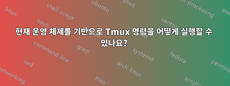 현재 운영 체제를 기반으로 Tmux 명령을 어떻게 실행할 수 있나요?
