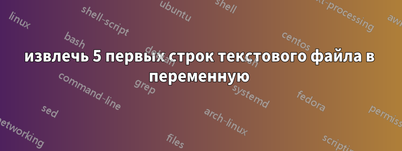 извлечь 5 первых строк текстового файла в переменную