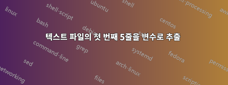 텍스트 파일의 첫 번째 5줄을 변수로 추출
