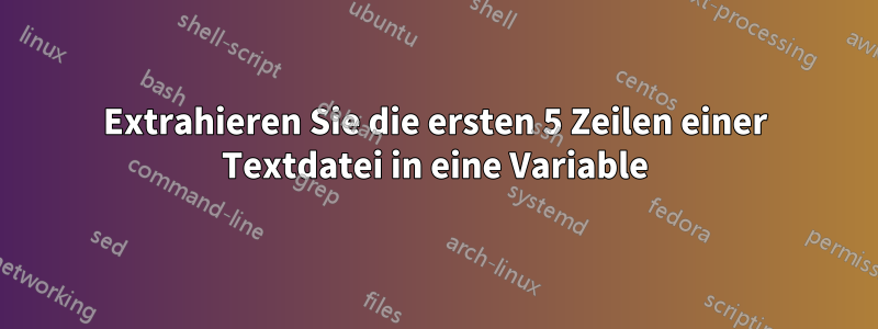Extrahieren Sie die ersten 5 Zeilen einer Textdatei in eine Variable