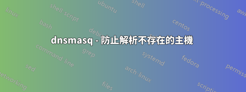dnsmasq - 防止解析不存在的主機