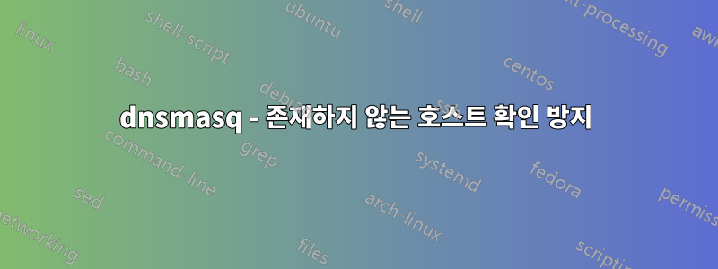 dnsmasq - 존재하지 않는 호스트 확인 방지