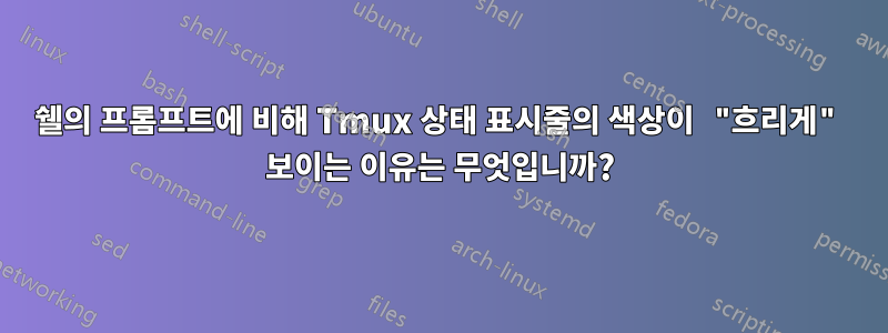 쉘의 프롬프트에 비해 Tmux 상태 표시줄의 색상이 "흐리게" 보이는 이유는 무엇입니까?