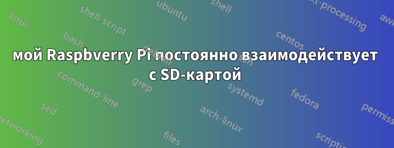 мой Raspbverry Pi постоянно взаимодействует с SD-картой
