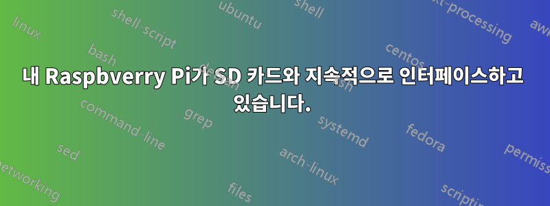 내 Raspbverry Pi가 SD 카드와 지속적으로 인터페이스하고 있습니다.