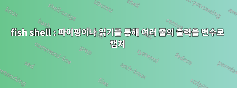 fish shell : 파이핑이나 읽기를 통해 여러 줄의 출력을 변수로 캡처
