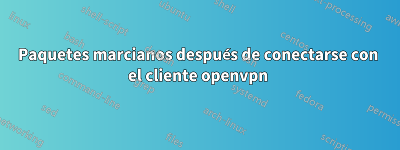 Paquetes marcianos después de conectarse con el cliente openvpn