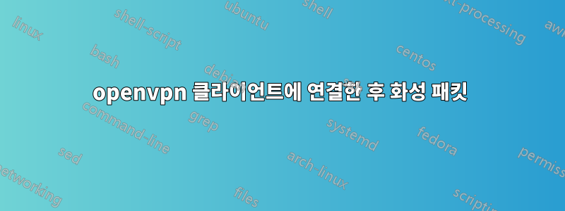 openvpn 클라이언트에 연결한 후 화성 패킷