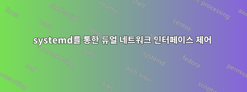 systemd를 통한 듀얼 네트워크 인터페이스 제어