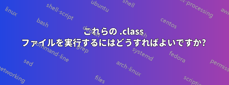 これらの .class ファイルを実行するにはどうすればよいですか?