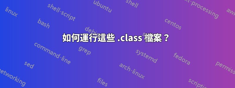 如何運行這些 .class 檔案？