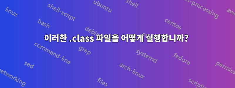 이러한 .class 파일을 어떻게 실행합니까?