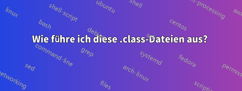 Wie führe ich diese .class-Dateien aus?