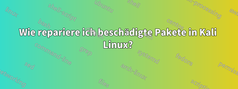 Wie repariere ich beschädigte Pakete in Kali Linux?