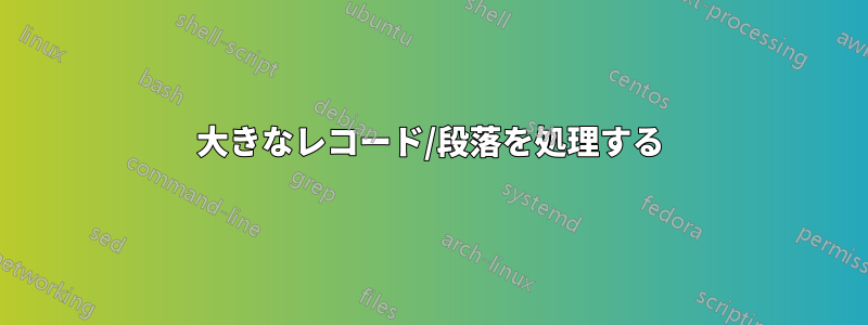 大きなレコード/段落を処理する