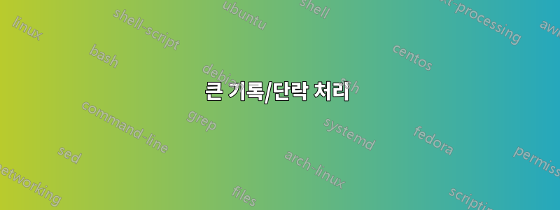 큰 기록/단락 처리