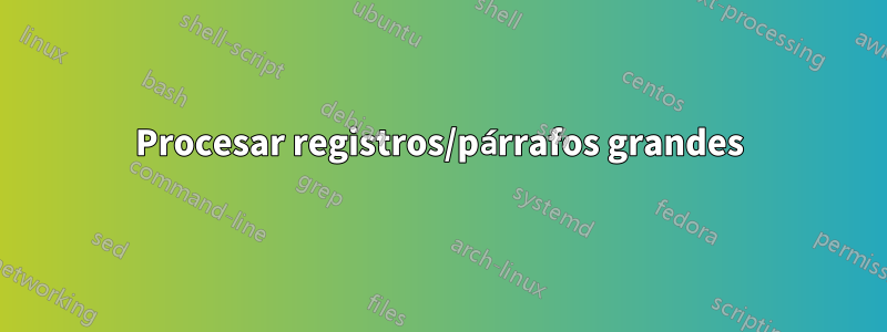 Procesar registros/párrafos grandes