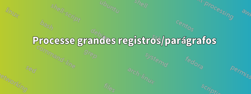 Processe grandes registros/parágrafos