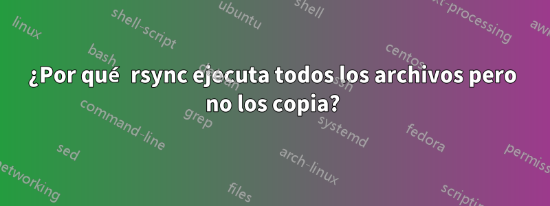 ¿Por qué rsync ejecuta todos los archivos pero no los copia?