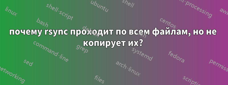 почему rsync проходит по всем файлам, но не копирует их?