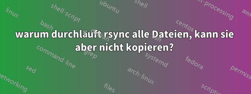 warum durchläuft rsync alle Dateien, kann sie aber nicht kopieren?