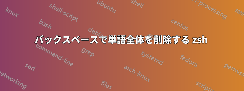 バックスペースで単語全体を削除する zsh