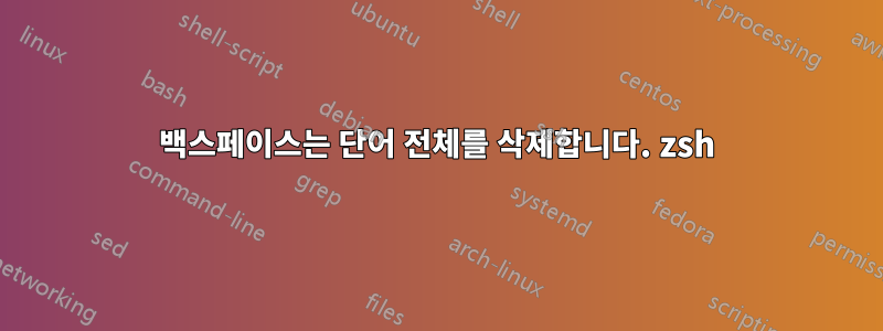 백스페이스는 단어 전체를 삭제합니다. zsh