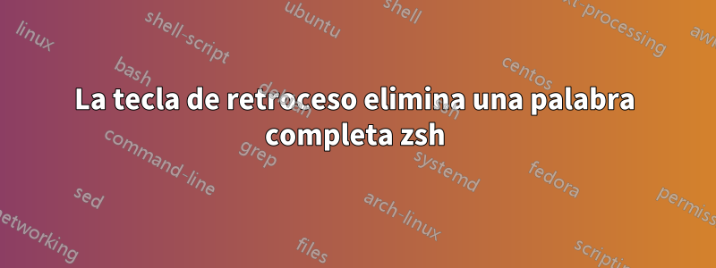 La tecla de retroceso elimina una palabra completa zsh