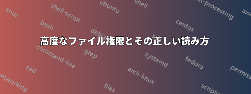 高度なファイル権限とその正しい読み方