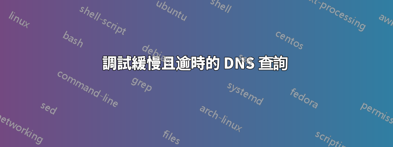 調試緩慢且逾時的 DNS 查詢