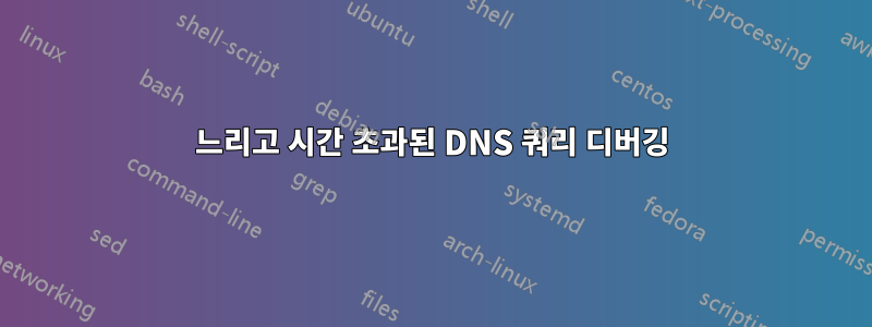 느리고 시간 초과된 DNS 쿼리 디버깅