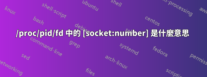 /proc/pid/fd 中的 [socket:number] 是什麼意思