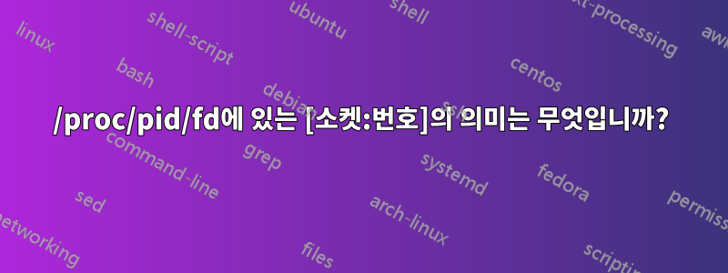 /proc/pid/fd에 있는 [소켓:번호]의 의미는 무엇입니까?