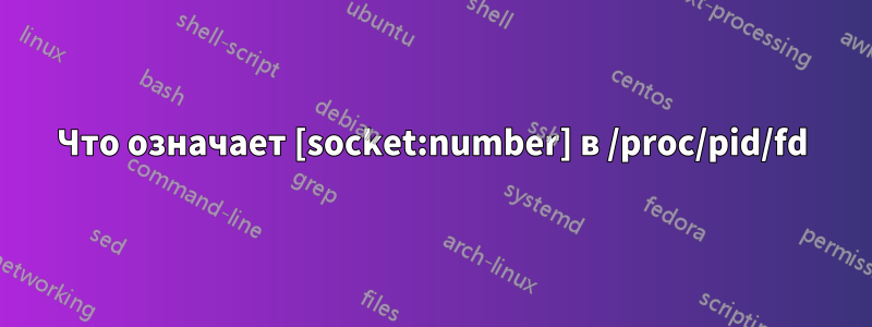 Что означает [socket:number] в /proc/pid/fd