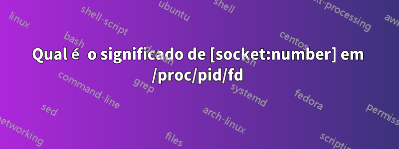 Qual é o significado de [socket:number] em /proc/pid/fd