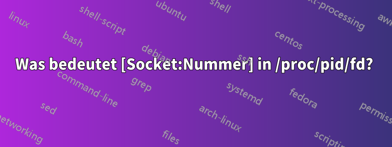 Was bedeutet [Socket:Nummer] in /proc/pid/fd?