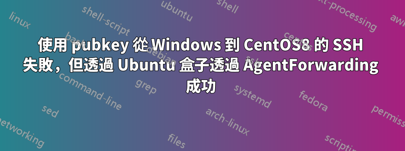 使用 pubkey 從 Windows 到 CentOS8 的 SSH 失敗，但透過 Ubuntu 盒子透過 AgentForwarding 成功