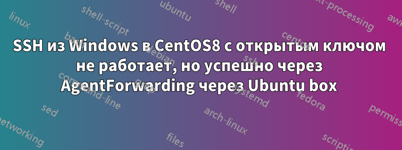 SSH из Windows в CentOS8 с открытым ключом не работает, но успешно через AgentForwarding через Ubuntu box